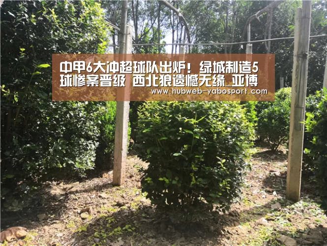 亚博体育官网